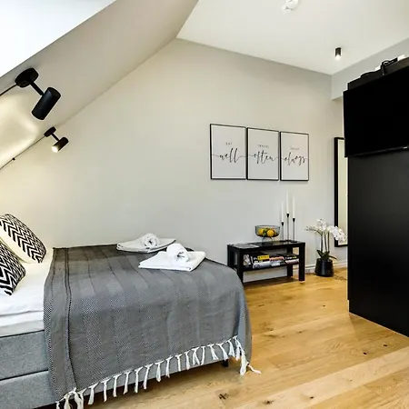 Tempus Te Avangard With Terrace And Gym Apartment Tallinn