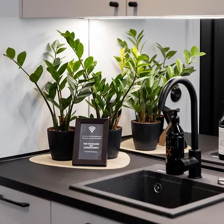 Tempus Te Avangard With Terrace And Gym * تالين