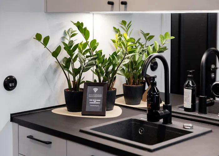 Tempus Te Avangard With Terrace And Gym * 塔林